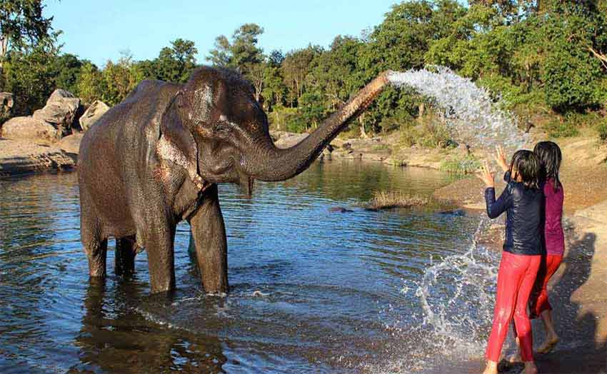 Same Day Elephant Village Tour