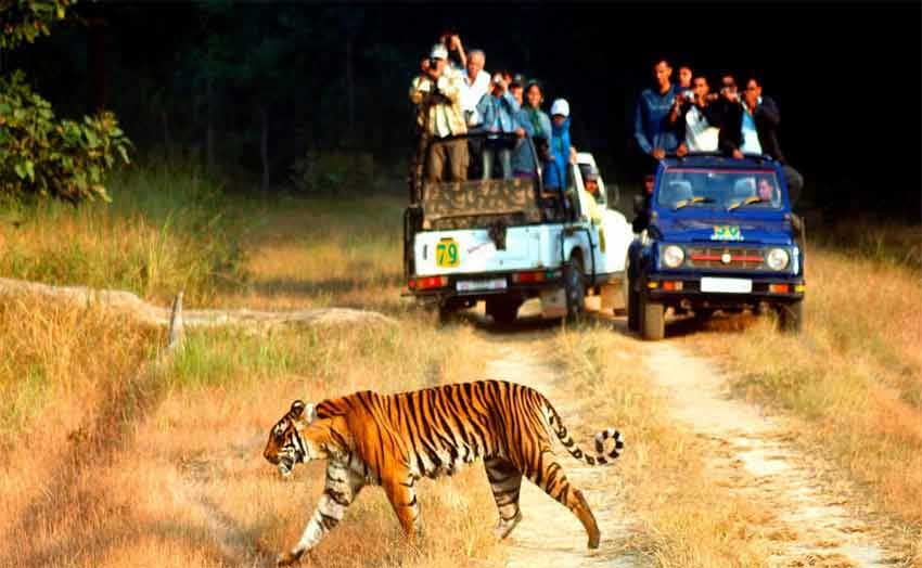 Rajasthan Wildlife With Golden Triangle Tour 13 Nights 14 Days